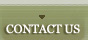 contactos